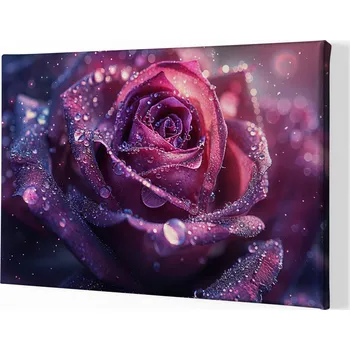 Obraz Obraz na plátně - Růže, růžový dotek FeelHappy.cz Velikost obrazu: 40 x 30 cm