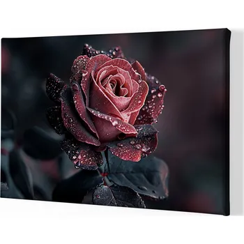 Obraz Obraz na plátně - Růže, radostné opojení FeelHappy.cz Velikost obrazu (šířka x výška): 40 x 30 cm