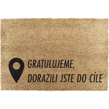 Rohožka Rohožka z kokosového vlákna 40x60 cm Pin – Artsy Doormats ID_875518