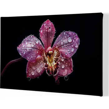 Obraz Obraz na plátně - Orchidej, kapky souznění FeelHappy.cz Velikost obrazu (šířka x výška): 90 x 60 cm