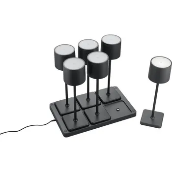 Lampička Trio Reality TR54096632 LED venkovní stolní svítidlo FERNANDEZ | 1,5W integrovaný LED zdroj | 130lm | 4000K + STOLNÍ OTOČNÝ VENTILÁTOR BERGEN - NASTAVITELNÝ, BÍLÝ