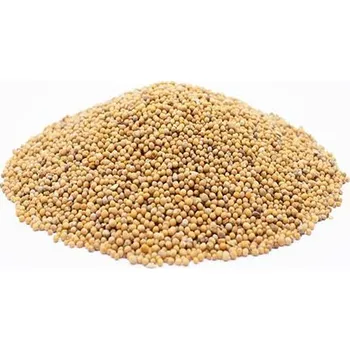 Koření Hořčičné semínko