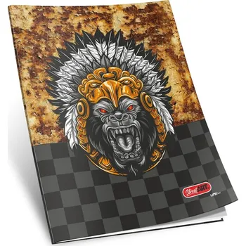 Sešit sešit 454, A4, 52 listů, linkovaný 8 mm,edice STREET, motiv pohled do zrcadla