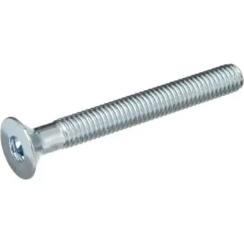 Spojovací materiál TS Šroub spojovací k válečkové matici M6x60