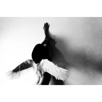 Plakát Plakát, Obraz - Not Fly, Keisuke Ikeda