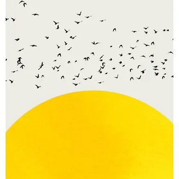 Plakát Plakát, Obraz - A Thousand Birds, Kubistika