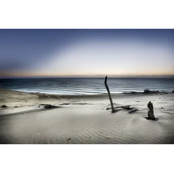 Plakát Plakát, Obraz - Reach for the sun, Mel Brackstone