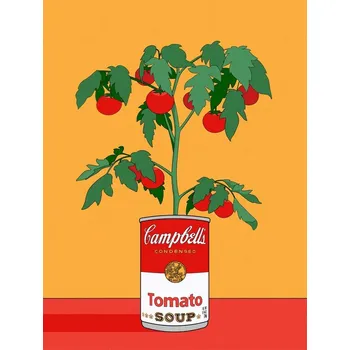Plakát Plakát, Obraz - Campbells Soup Tomato Plant Retro Illustration, Retrodrome