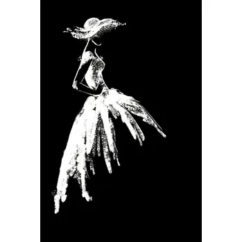 Plakát Plakát, Obraz - Full skirt dress fashion illustration in black, Blursbyai