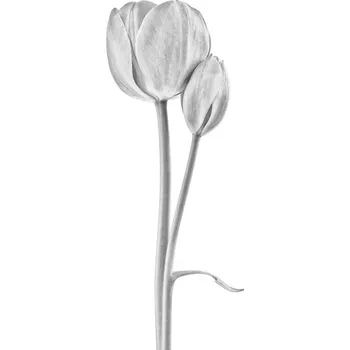 Plakát Plakát, Obraz - Connected, Lotte Gronkjar