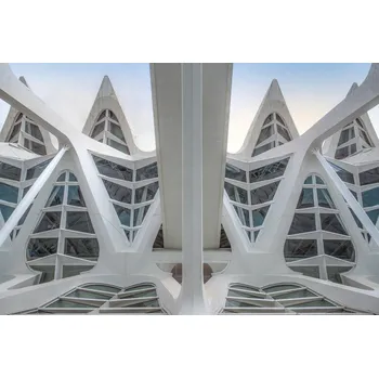 Plakát Plakát, Obraz - mirror image, Linda Wride