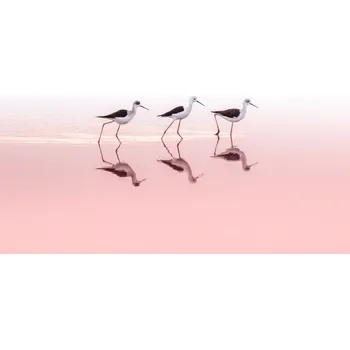 Plakát Plakát, Obraz - TRIO, Natalia Rublina