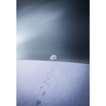 Plakát Plakát, Obraz - Winter, Bess Hamiti