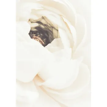 Plakát Plakát, Obraz - White Flower, Studio Collection