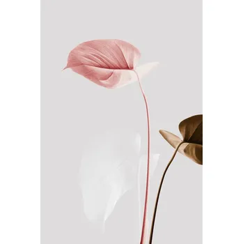 Plakát Plakát, Obraz - Monstera Creative 21, Studio Collection