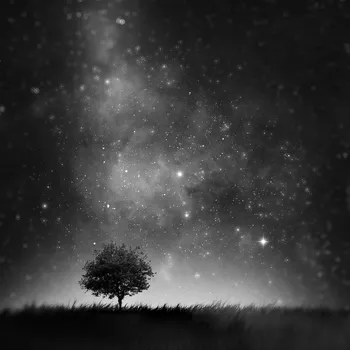 Plakát Plakát, Obraz - Not so Alone, Sebastien DEL GROSSO