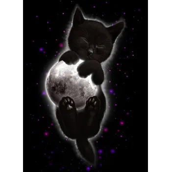 Plakát Plakát, Obraz - norma, Adam Lawless