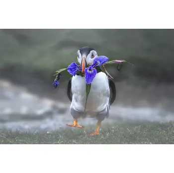 Plakát Plakát, Obraz - Honey, I love you, Larry Deng