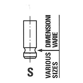 Ventil motoru FRECCIA Výfukový ventil R6604RNT