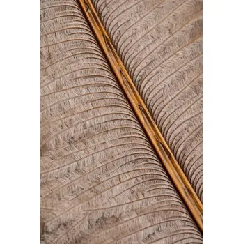 Plakát Plakát, Obraz - Feather_007, Studio Collection