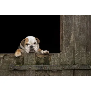 Plakát Plakát, Obraz - Got that Monday feeling..., Gert van den