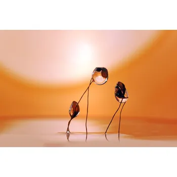 Plakát Plakát, Obraz - Water heads ll, Heidi Westum