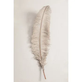 Plakát Plakát, Obraz - Feather_002, Studio Collection