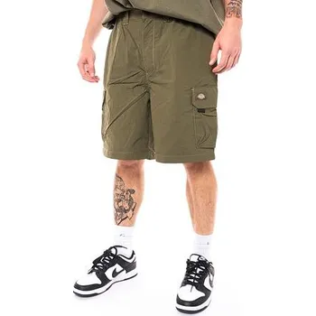 Kraťasy Dickies Jackson Cargo Short DK0A4YACMGR1 velikost L