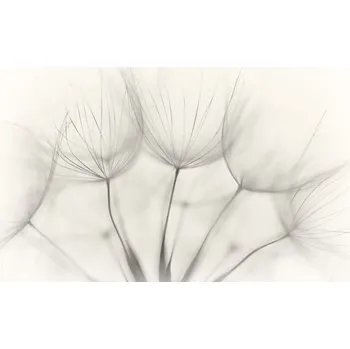 Plakát Plakát, Obraz - No title, Jakob Arnholtz