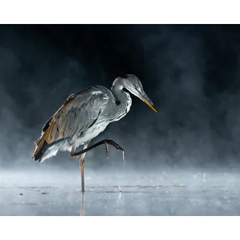 Plakát Plakát, Obraz - Ghostly, FeargalQ