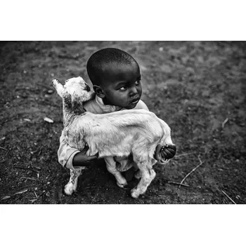 Plakát Plakát, Obraz - Minions, Vedran	Vidak