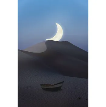 Plakát Plakát, Obraz - This used to be an ocean, 陈权圣