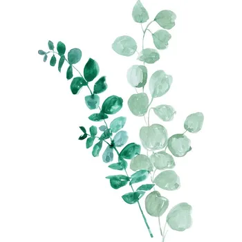 Plakát Plakát, Obraz - Eucalyptus two ways, Blursbyai