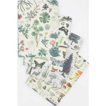 Sešit Cognitive Surplus sada čtyř sešitů, příroda