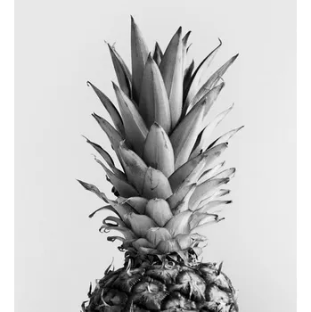Plakát Plakát, Obraz - pineappleblackandwhite, Finlay & Noa