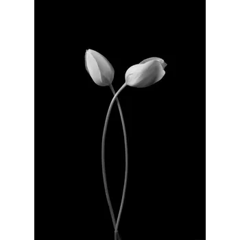 Plakát Plakát, Obraz - Hug, Tony Xu