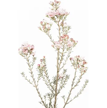 Plakát Plakát, Obraz - Little Blooms, Sisi & Seb