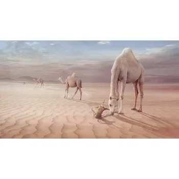 Plakát Plakát, Obraz - Camels Trip, sulaiman almawash