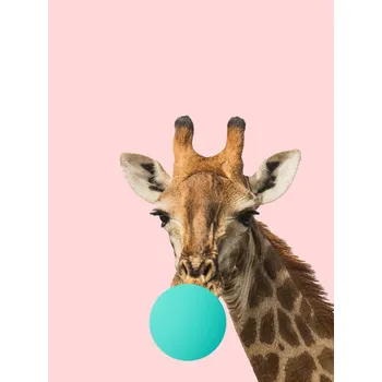 Plakát Plakát, Obraz - bubblegumgiraff1, Finlay & Noa