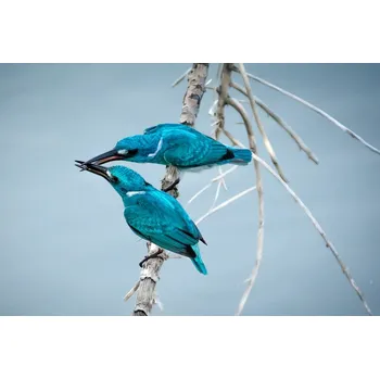 Plakát Plakát, Obraz - i love you so much, Arief Siswandhono