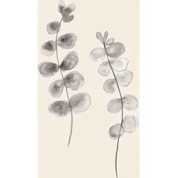 Plakát Plakát, Obraz - Eucalyptus Twigs, Studio Collection