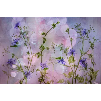 Plakát Plakát, Obraz - The wild ones, Hilda van der Lee