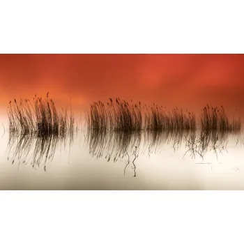 Plakát Plakát, Obraz - serenity, Rui David