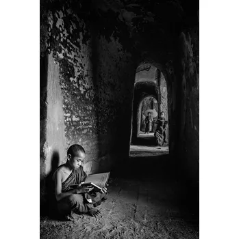 Plakát Plakát, Obraz - Readings, Michael Lim