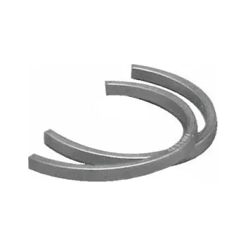 Těsnění FR 160 x12,5 SNR