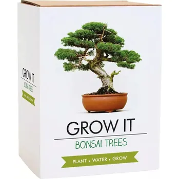 Semeno Gift republic Grow It sada na pěstování bonsaj 5 ks