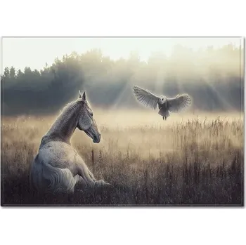 Koberec Moderní dětský koberec s koněm - 14,50 x 80 cm 20 x 23 palců