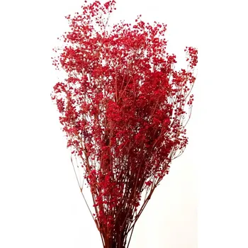 umělá květina Nevěstin závoj/stabilizovaná Gypsophila svazek/kytice červená 45g