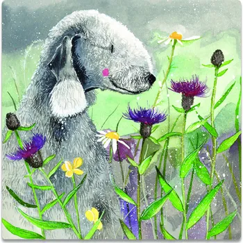 Dekorativní magnet Magnetka Alex Clark Pejsci - Bedlington (Dekorační magnet pes, pejsek)