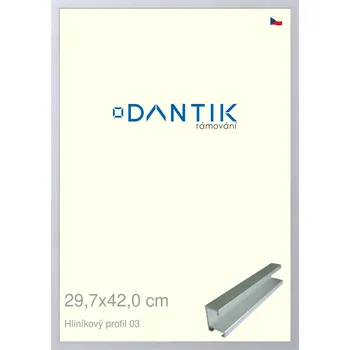 Rám na obraz DANTIK rámeček 29,7x42 | ALU profil 7003 Stříbrná matná (Plexi Čiré) (Vyrobeno s láskou u nás v DANTIKU)